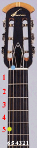 tune1.gif (19627 bytes)